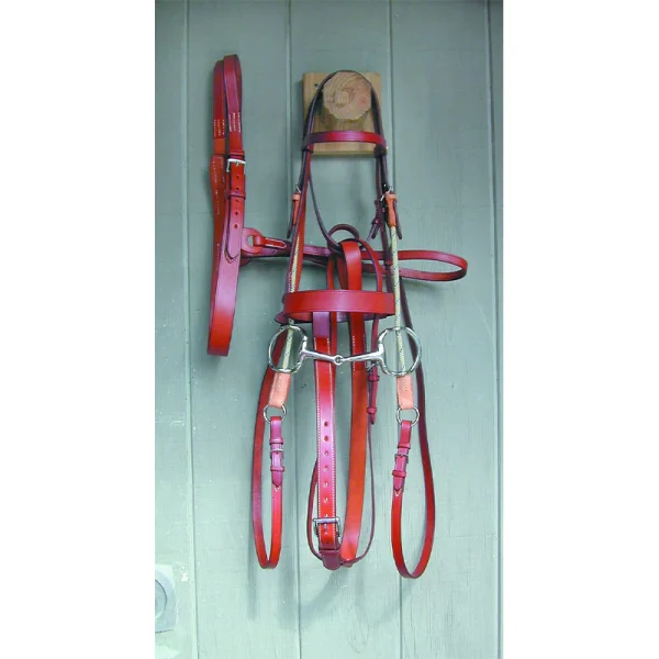 Sagacious Gag Bridle Complete-English Bridle Leather